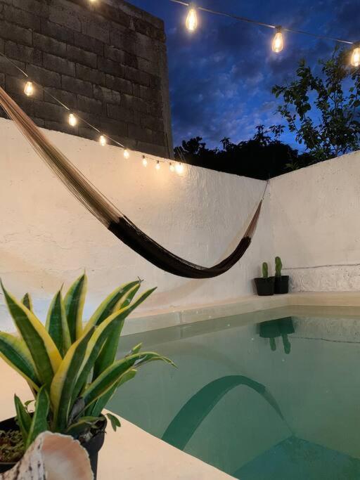 Casita Azul Colonial En El Centro De Merida. Kültér fotó