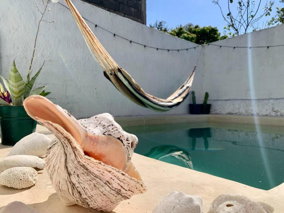 Casita Azul Colonial En El Centro De Merida. Kültér fotó