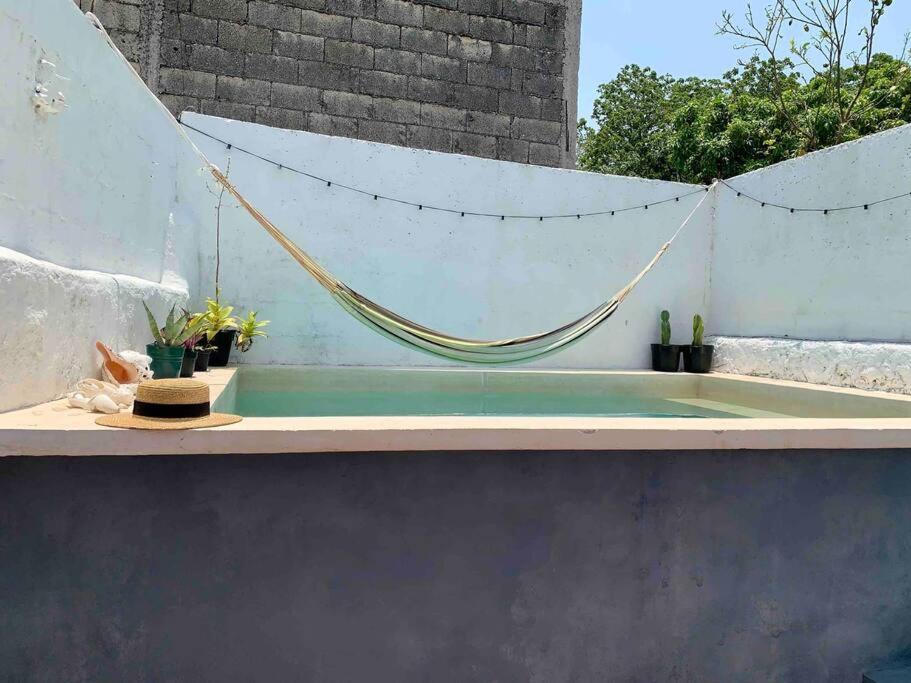 Casita Azul Colonial En El Centro De Merida. Kültér fotó